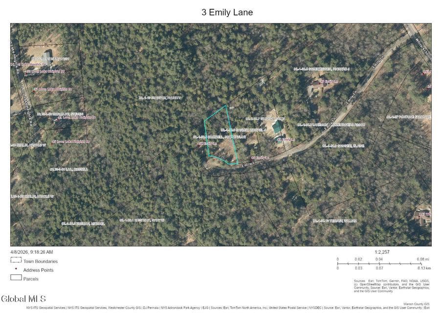 L3 Emily Lane, photo 2