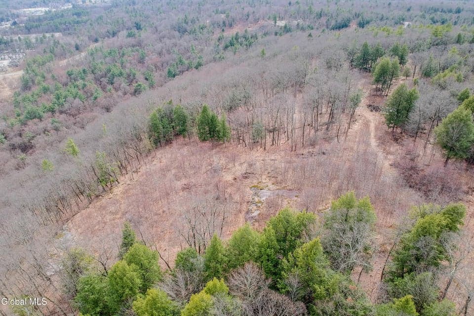 20.01 acres · Unimproved Land, photo 2