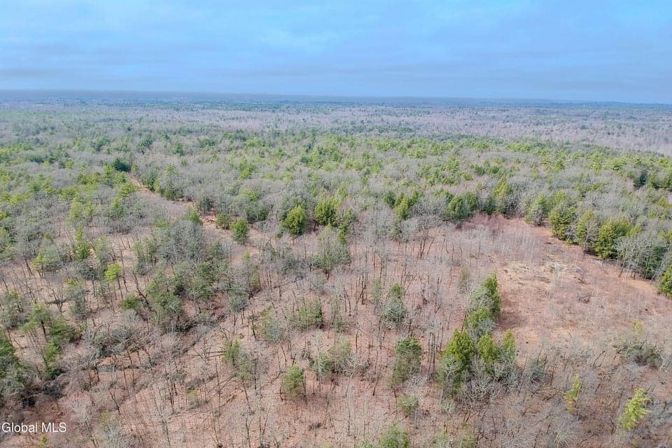 20.01 acres · Unimproved Land, photo 3