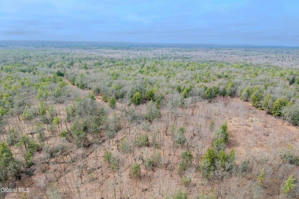 20.01 acres · Unimproved Land, photo 4