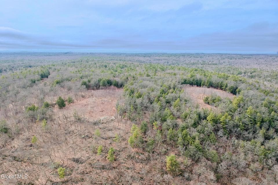 20.01 acres · Unimproved Land, photo 5