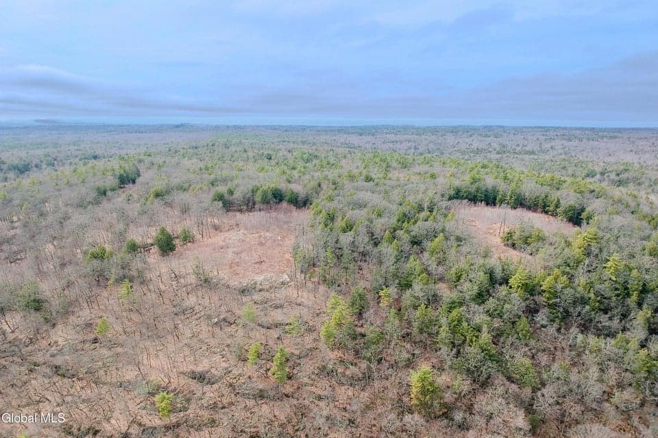 24.00 acres · Unimproved Land, photo 3