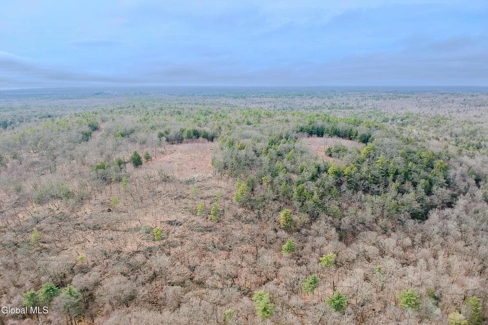 24.00 acres · Unimproved Land, photo 4