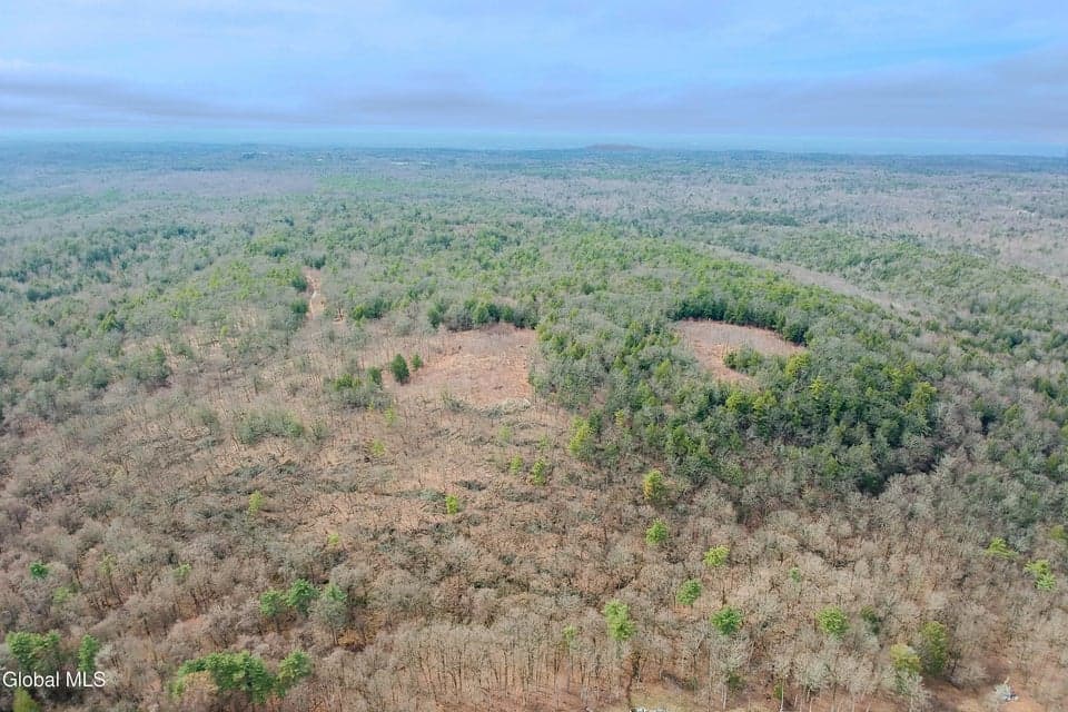 24.00 acres · Unimproved Land, photo 5