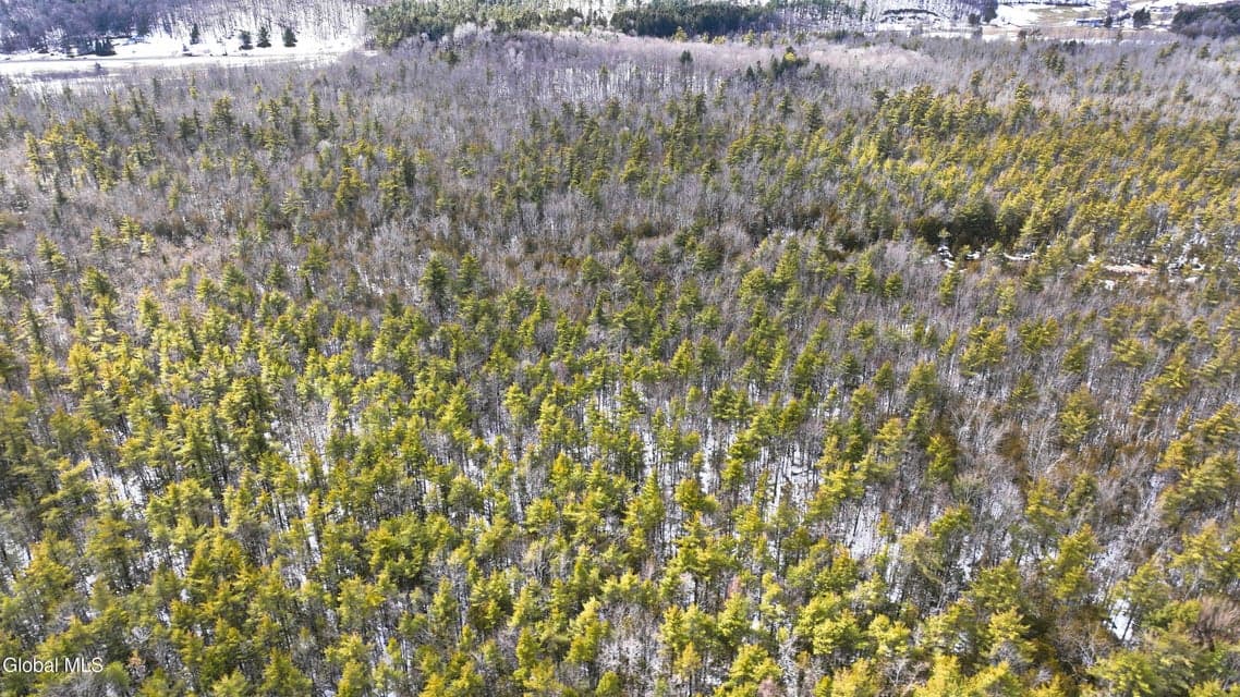 L2.5 Swamp Road, photo 4