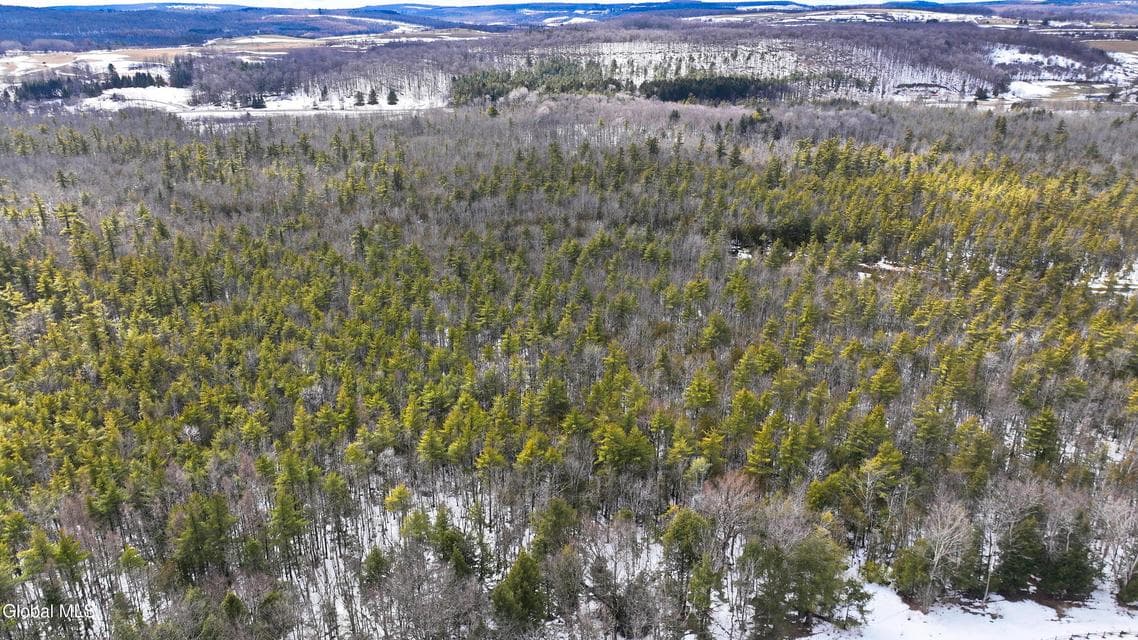L2.5 Swamp Road, photo 5