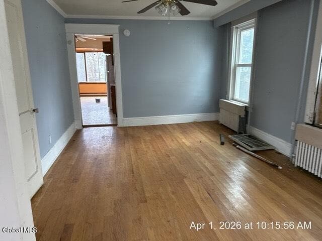 6 Fullerton Street, photo 4