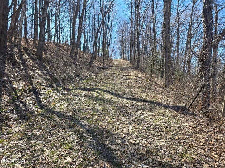 17052 NY 22, photo 2