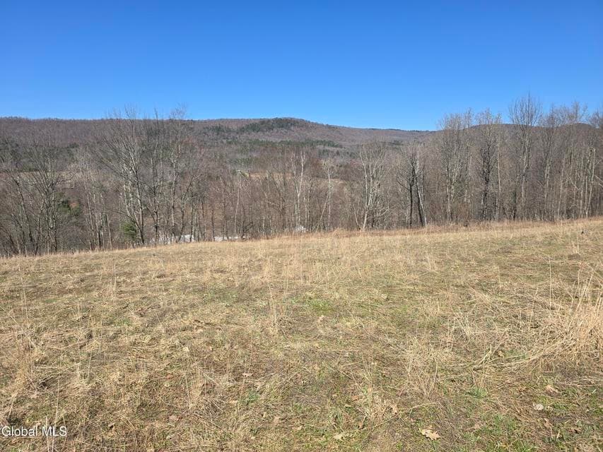 17052 NY 22, photo 1