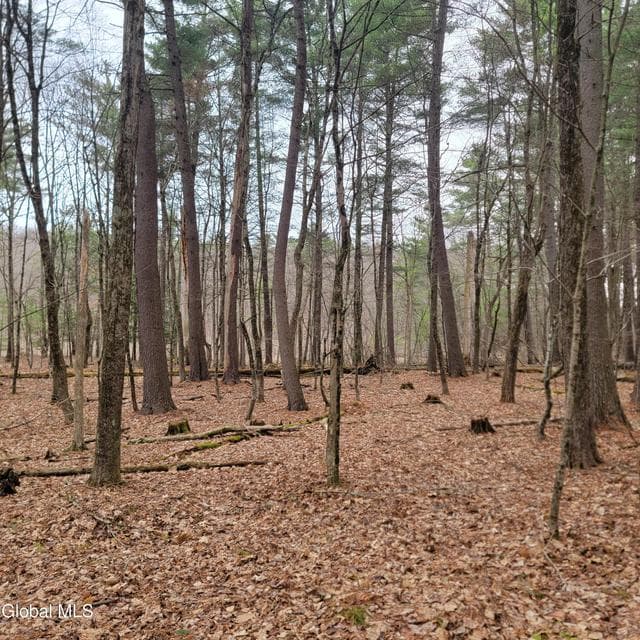 L47 Coldwater Tavern Road, photo 3