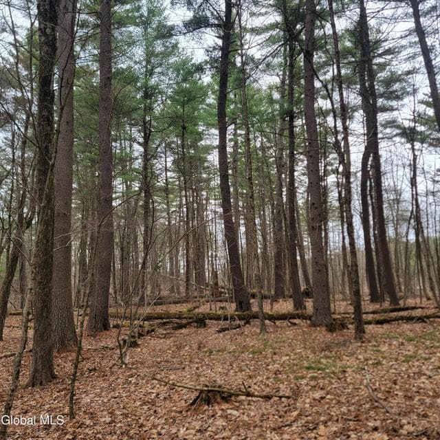 L47 Coldwater Tavern Road, photo 4