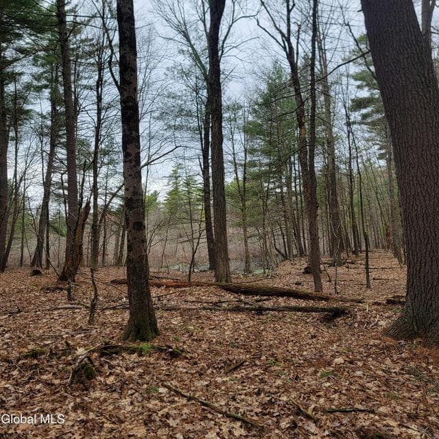 L47 Coldwater Tavern Road, photo 1