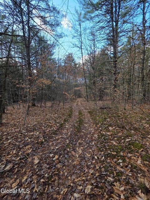 L32 Schroon River, photo 5