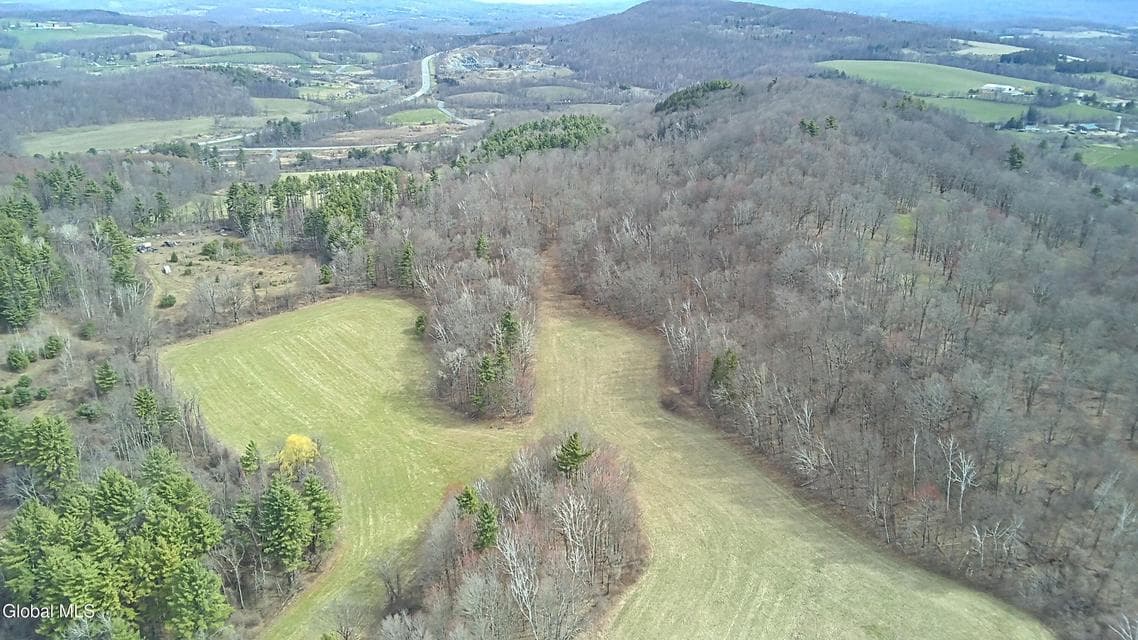 605 Breese Hollow Road, photo 4