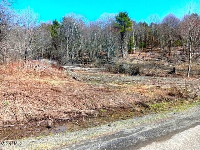 708 Smokey Avenue, Maryland, NY, photo 2