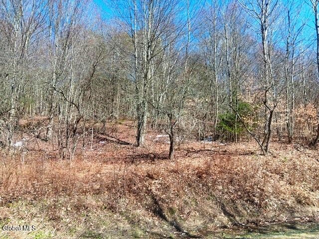 708 Smokey Avenue, Maryland, NY, photo 4