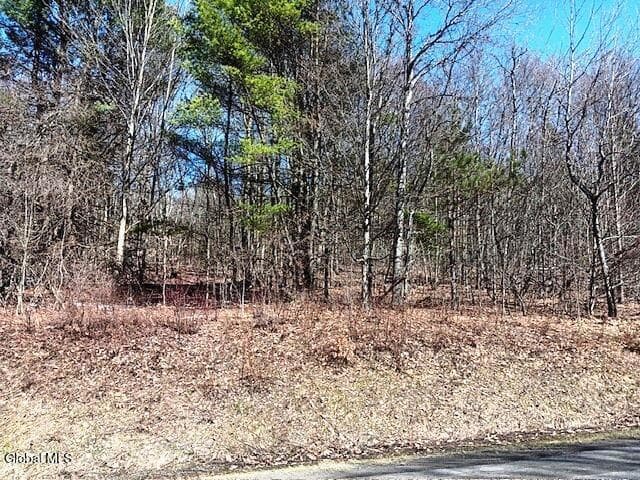 708 Smokey Avenue, Maryland, NY, photo 5