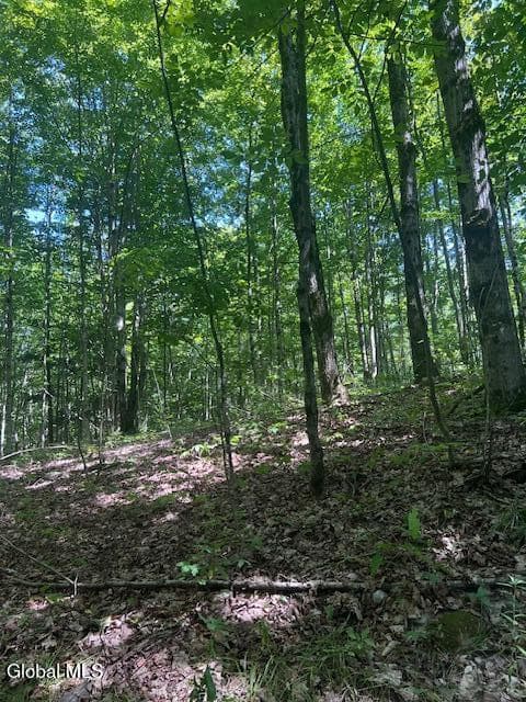 L28 Koster Way, Hebron, NY 12865, photo 3
