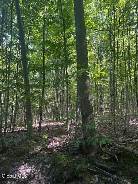 L28 Koster Way, Hebron, NY 12865, photo 4