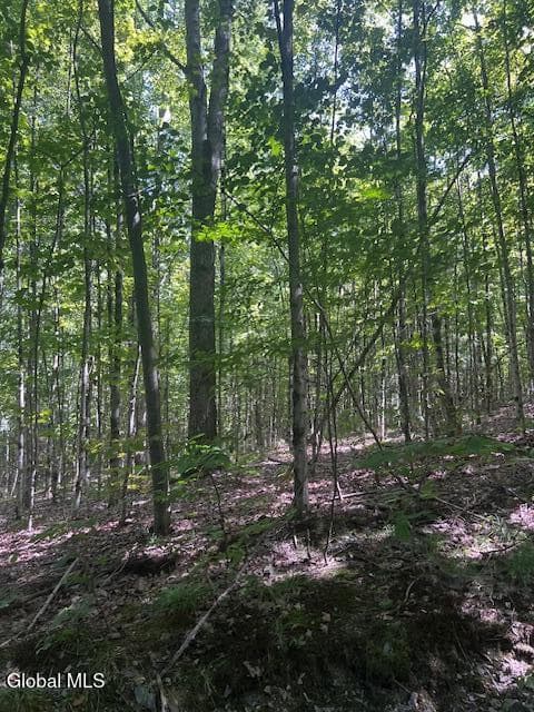 L28 Koster Way, Hebron, NY 12865, photo 5
