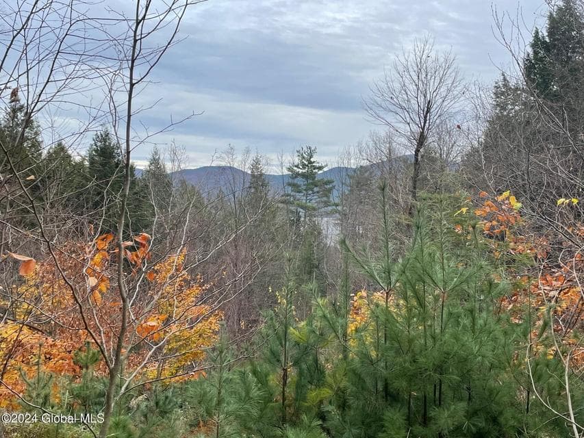 8 Lake Ridge Road, photo 4