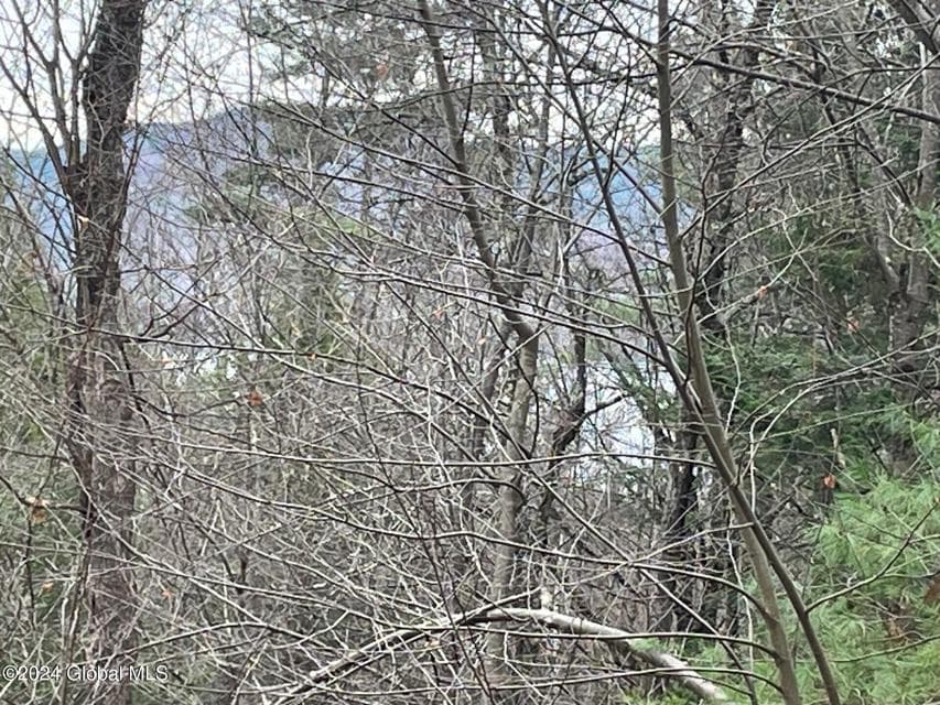 8 Lake Ridge Road, photo 5