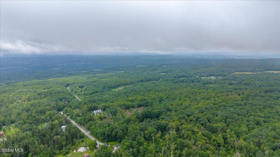 181 Liddle Road, photo 5