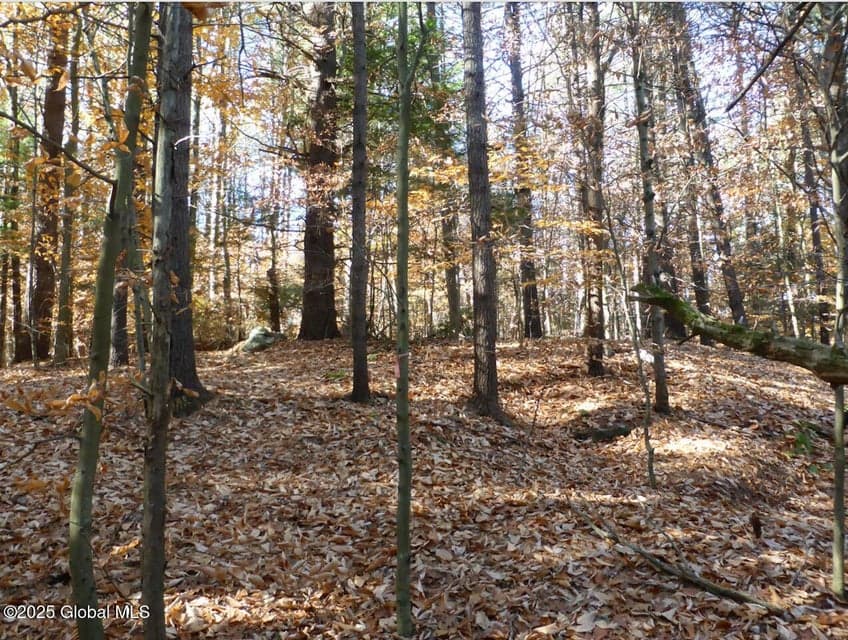 487 Antone Mountain Road, photo 1
