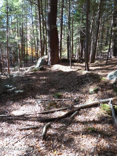487 Antone Mountain Road, photo 3