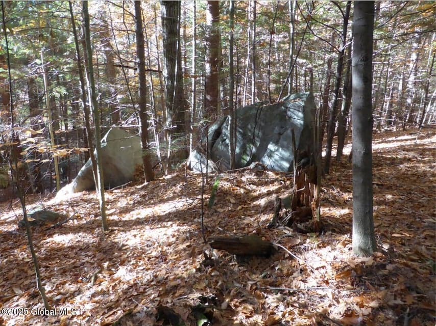 487 Antone Mountain Road, photo 4