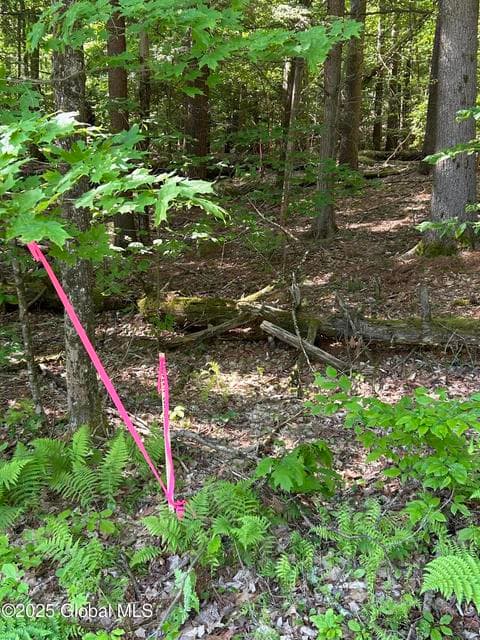 487 Antone Mountain Road, photo 5