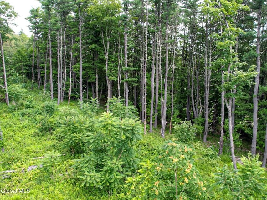 111 Blossom Hill Road, photo 4