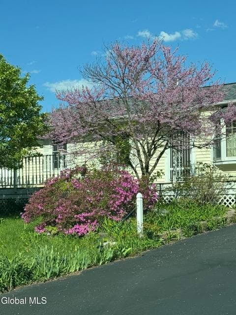 31 Amelia Drive, Colonie, NY, photo 3