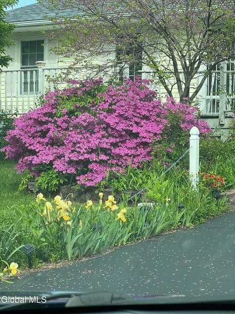 31 Amelia Drive, Colonie, NY, photo 4