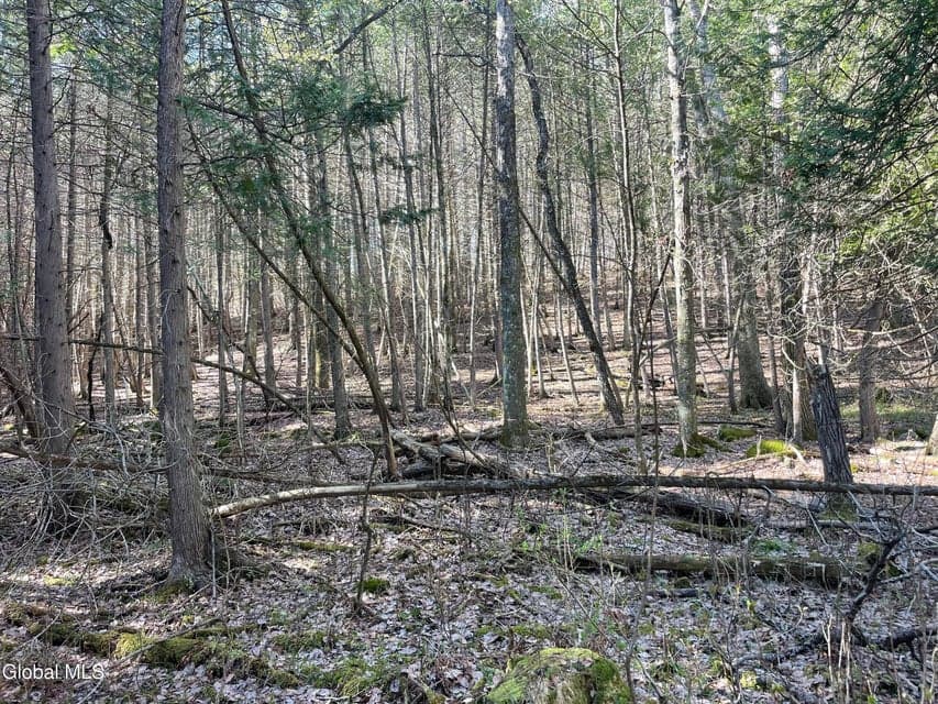 Lot 26 Highway Route 20, photo 3