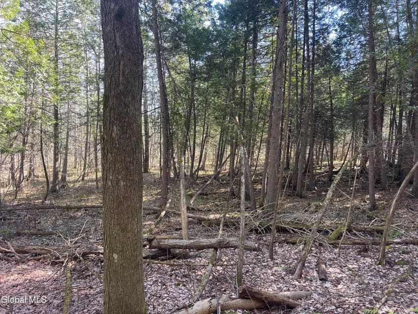 Lot 26 Highway Route 20, photo 4