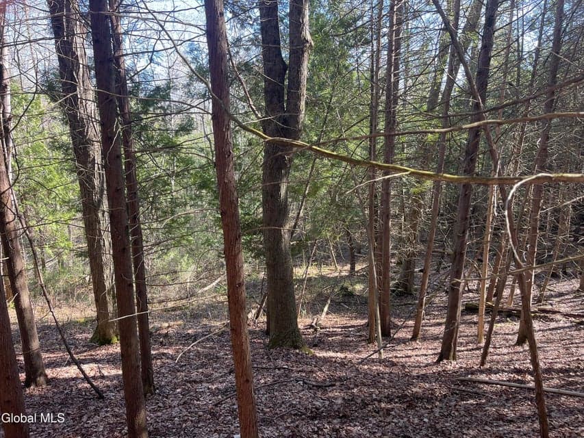 Lot 26 Highway Route 20, photo 5