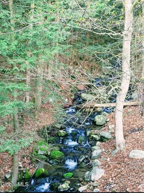 780 Diamond Point Road, Lake George, NY, photo 3
