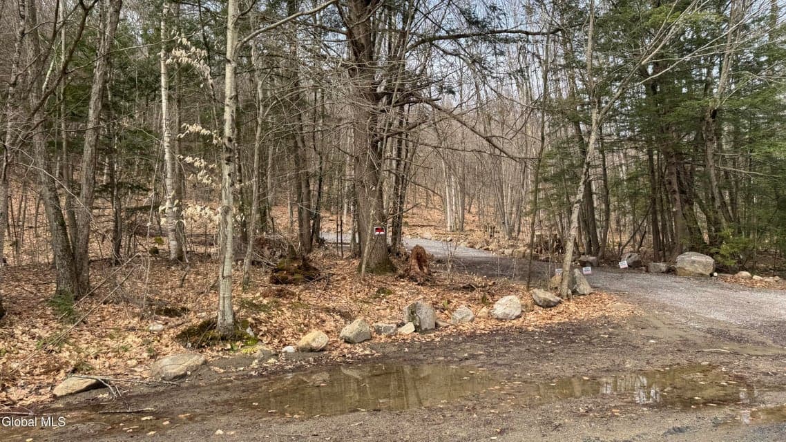 4 Spring Wood, photo 2