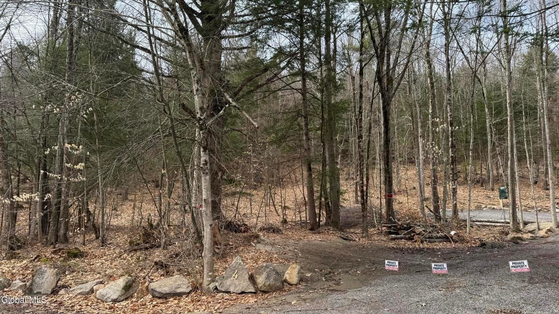 4 Spring Wood, photo 5