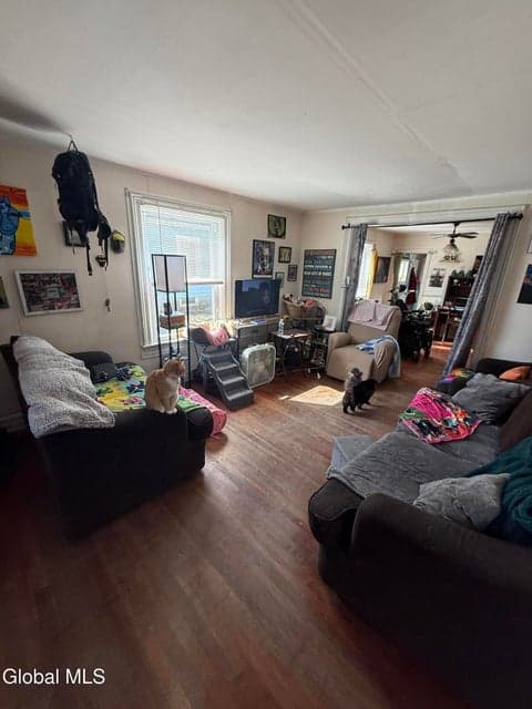 9 Feeder Street, photo 3
