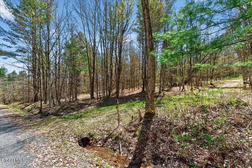 155 Thistle Hill Road, photo 4