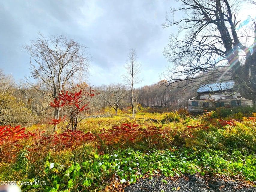 172 Mace Hill Road, photo 3