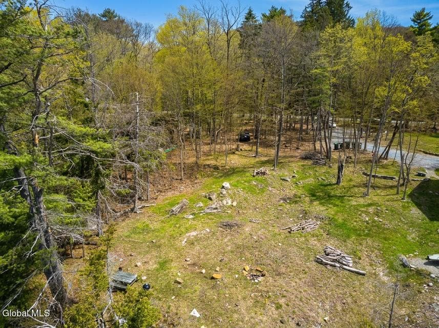 1777 Pilot Knob Road, photo 3