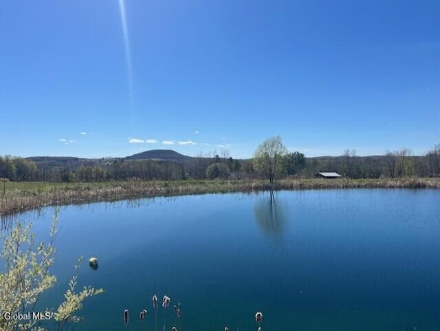 465 Snyder Road, photo 2