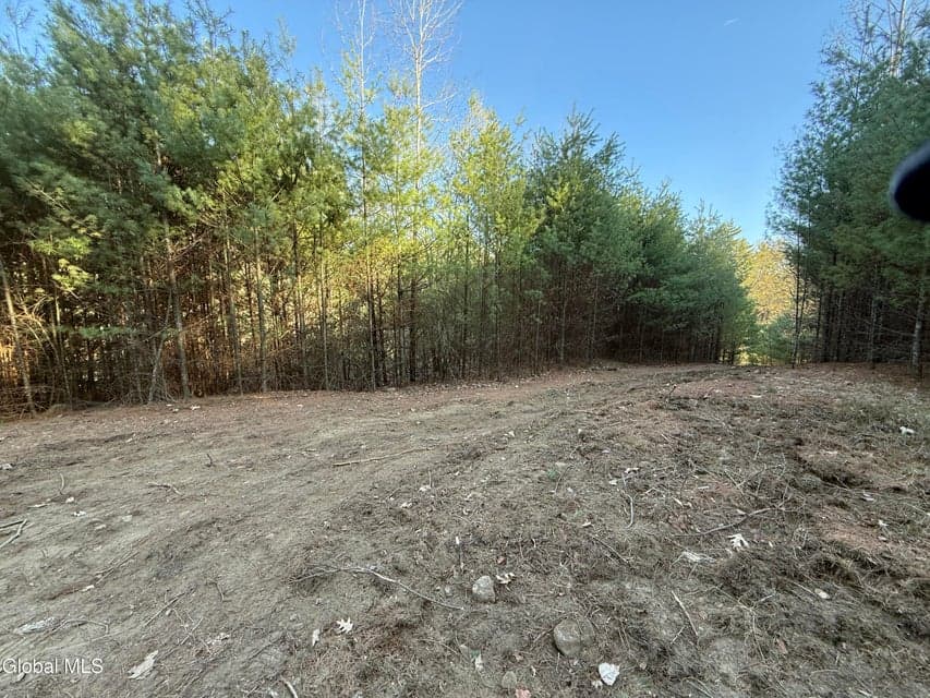 L22.2 Cameron Road, photo 3