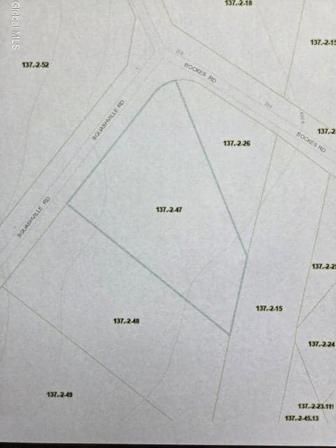 10 Squashville Road, Greenfield, NY 12833