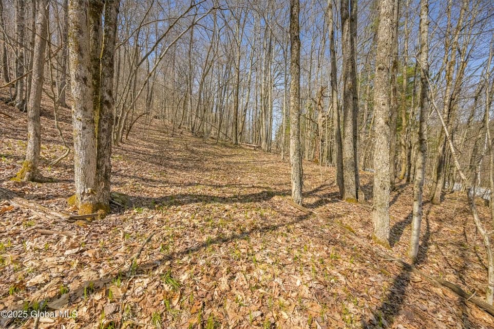 L9.113 Lutheranville Road, photo 2