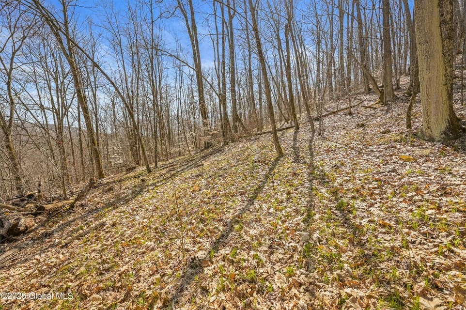 L9.113 Lutheranville Road, photo 4