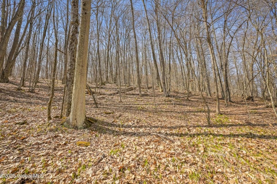 L9.113 Lutheranville Road, photo 5